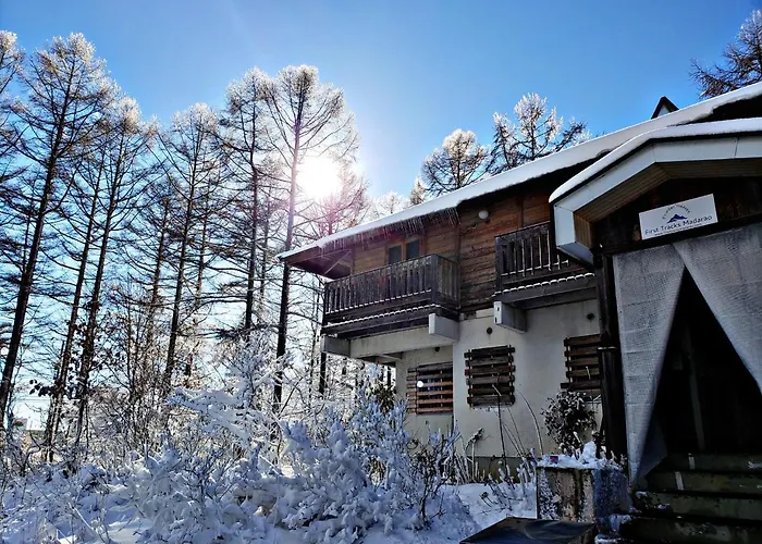 First Tracks Madarao