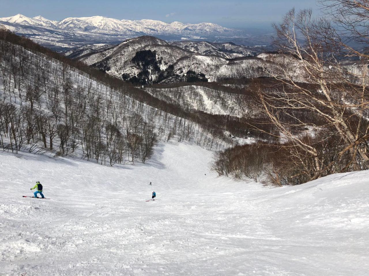First Tracks Madarao Inn